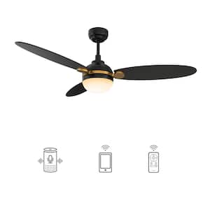 Raddix 52 in. Dimmable LED Indoor/Outdoor Black Smart Ceiling Fan with Light and Remote, Works with Alexa/Google Home