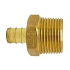 3/4 in. Brass PEX-B Barb x 1 in. Male Pipe Thread Reducing Adapter