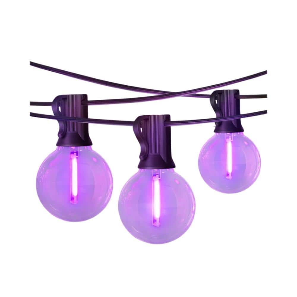 JET紫色 LEDライト 12個セット 26FT Purple String Lights - 12+1 Edison Bulbs(1 Spare), UL