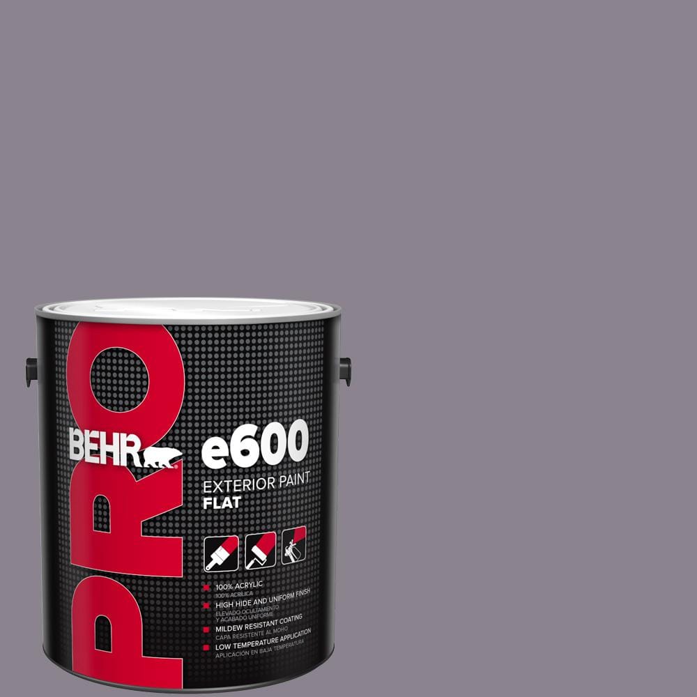1 gal. #670F-5 Gothic Amethyst Flat Exterior Paint price history on PriceWatchPro