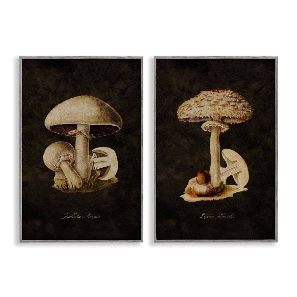 Vintage Mushrooms on Black by Tina Higgins Designs, Inc. 2 Pieces Gray Framed Nature Giclee Art Print 24 in. x 16 in. price history on PriceWatchPro
