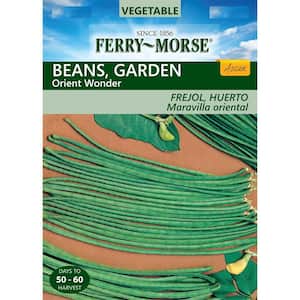 Bean Yard Long Orient Wonder Seed