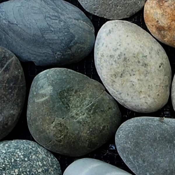 Classic Pebble Mosaic Tile Sample Color River Grey 4 in. x 6 in.
