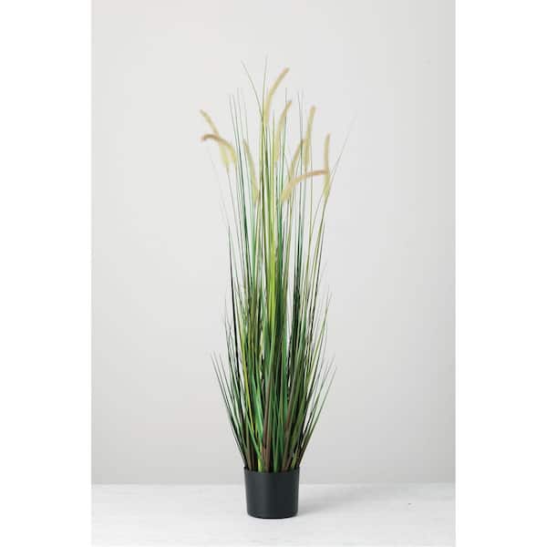 SULLIVANS Artificial 48 in. Potted Dogtail Grass