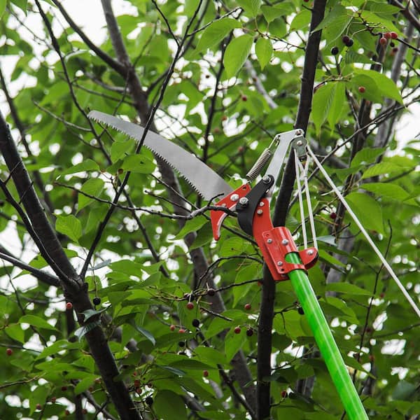 Tree Pruner Pole Saw 26 ft Tree Trimmer Detachable Saw Blade Scissor Cutting New 
