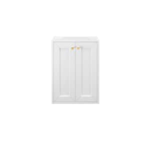 Chianti 19.6 in. W x 15.4 in. D x 27.5 in. H Single Bath Vanity Cabinet without Top in Glossy White