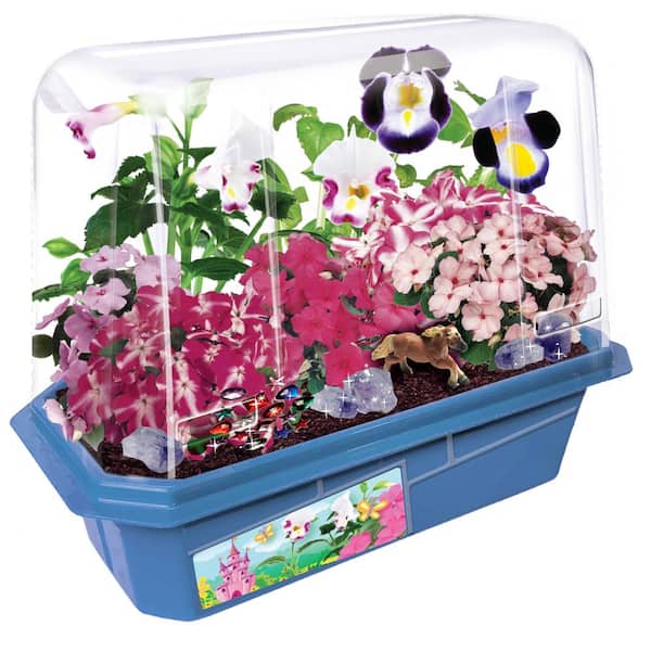 Miniature Worlds Blue Flower Princess Palace Indoor Garden Terrarium Seed Starter Kit 5528085 The Home Depot - Indoor Flower Garden Kit Miniature Worlds Blue Flower Princess Palace Indoor Garden Terrarium Seed Starter Kit 5528085 The Home Depot - Indoor Flower Garden Kit
