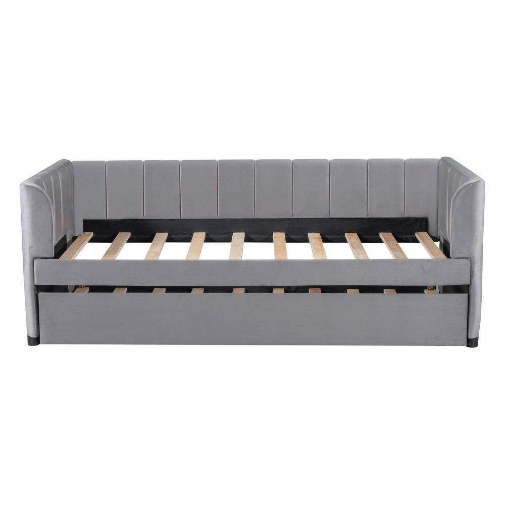 Gray Velvet Upholstered Twin Daybed with Trundle and Wood Frame