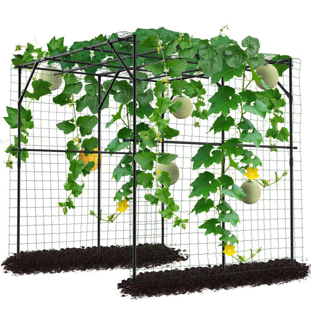 Tall Garden Arch Trellis for Climbing Plants 79 in. x 79 in. Large Grape Vine Support Arch Arbor Trellis price history on PriceWatchPro