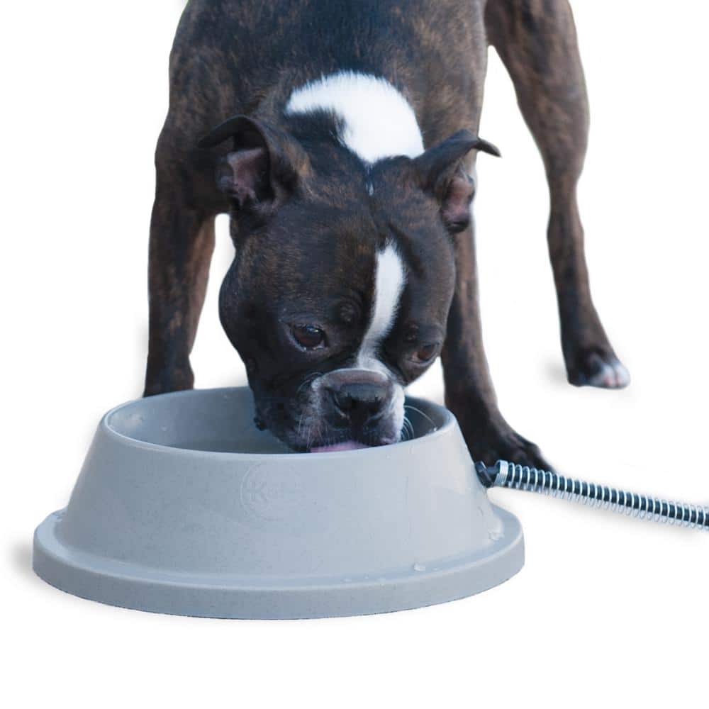 Gray Heated Pet Water Bowl with Steel-Wrapped Cord