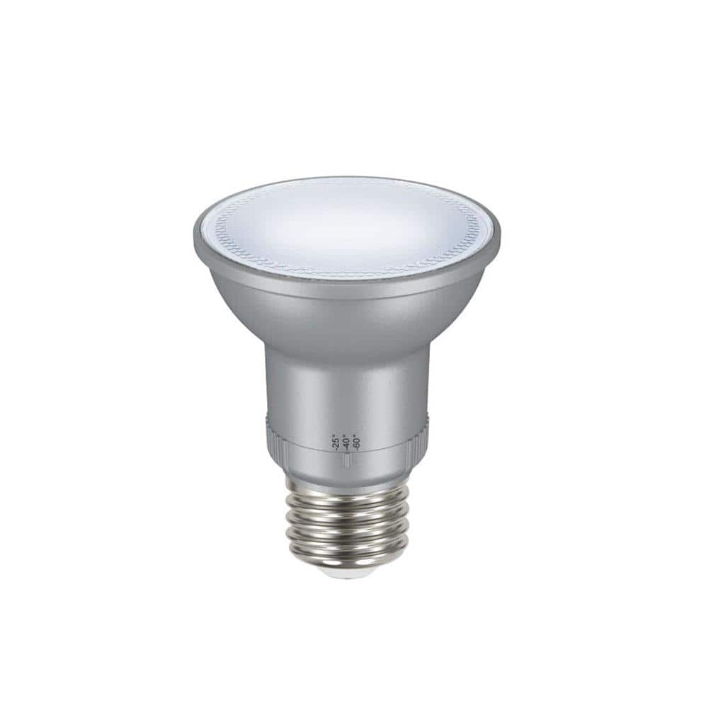 EcoSmart 50-Watt Equivalent PAR20 Dimmable Adjustable Beam Angle LED Light Bulb Daylight (2-Pack) -  A20PR2050WESD52