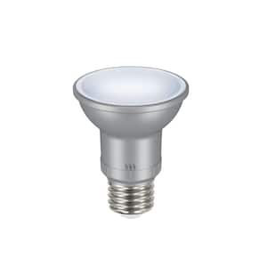 50-Watt Equivalent PAR20 Dimmable Adjustable Beam Angle LED Light Bulb Daylight (2-Pack)
