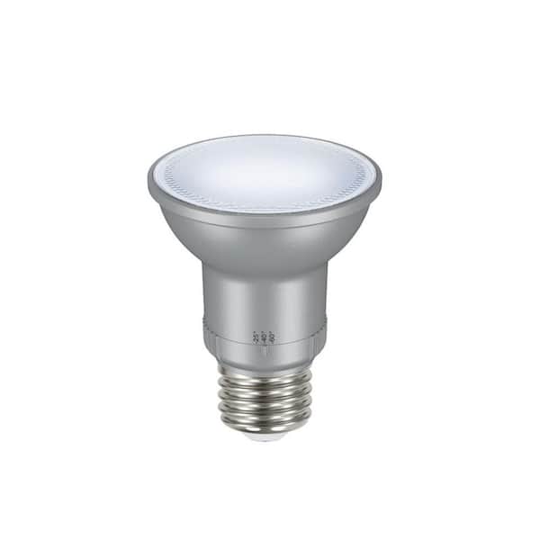 EcoSmart 50-Watt Equivalent PAR20 Dimmable Adjustable Beam Angle LED Light Bulb Daylight (2-Pack)
