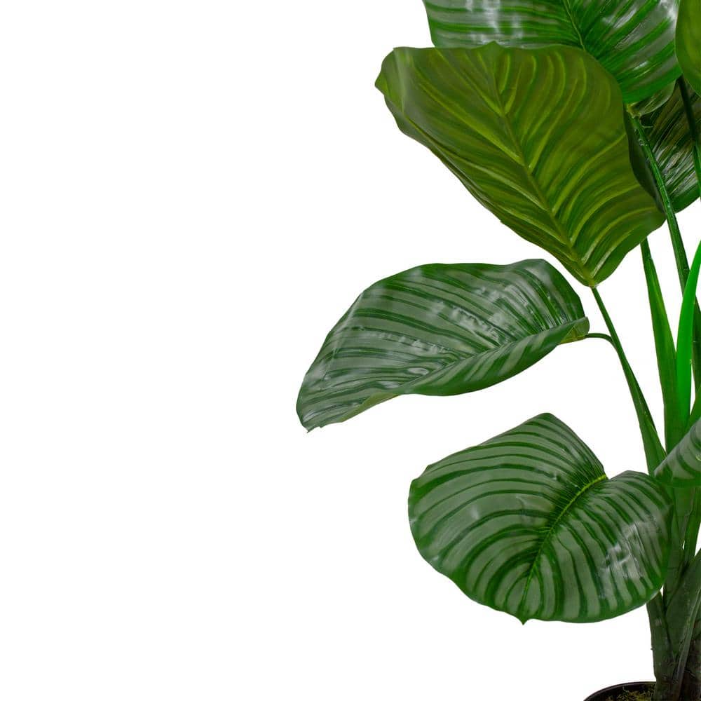 47" Two-Tone Green Plastic Calathea Artificial Floor Plant