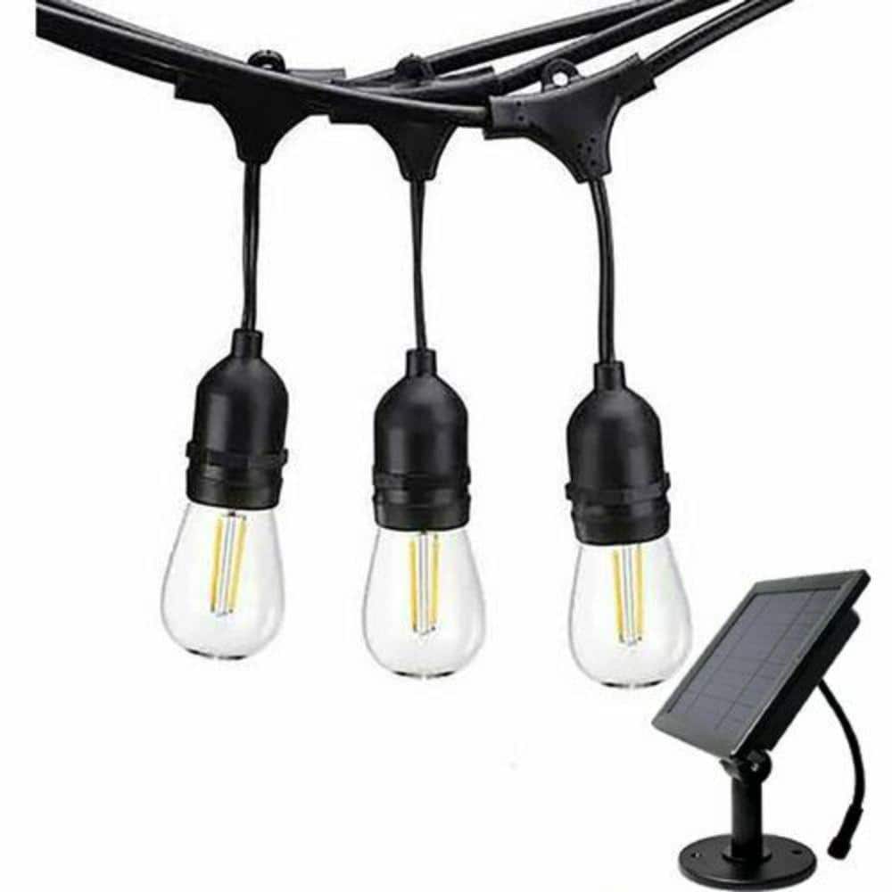 AQLIGHTING 12 Light 24 ft. Outdoor Solar Powered LED Edison