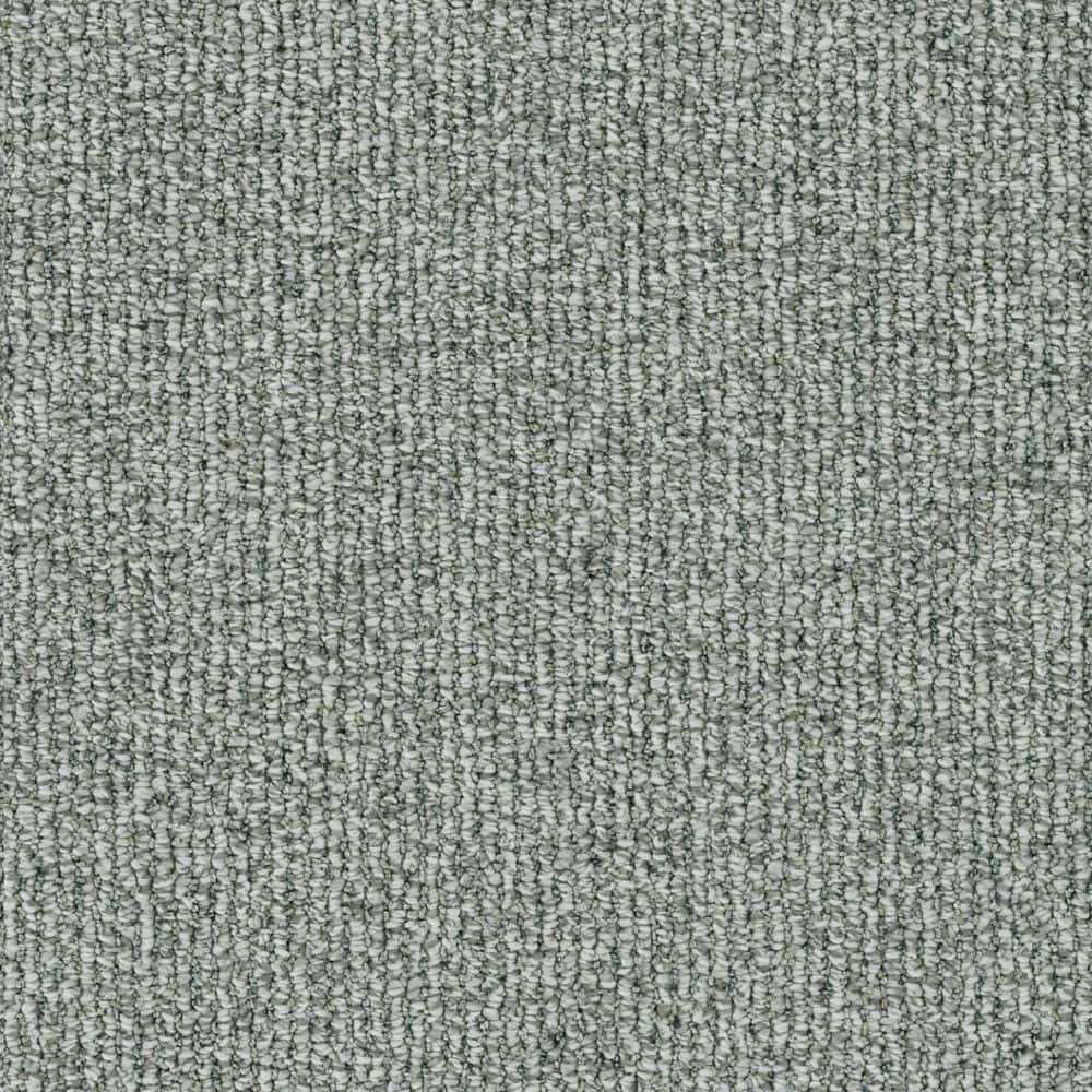 8 in. x 8 in. Loop Carpet Sample - Symphony Walk - Color Tone price history on PriceWatchPro