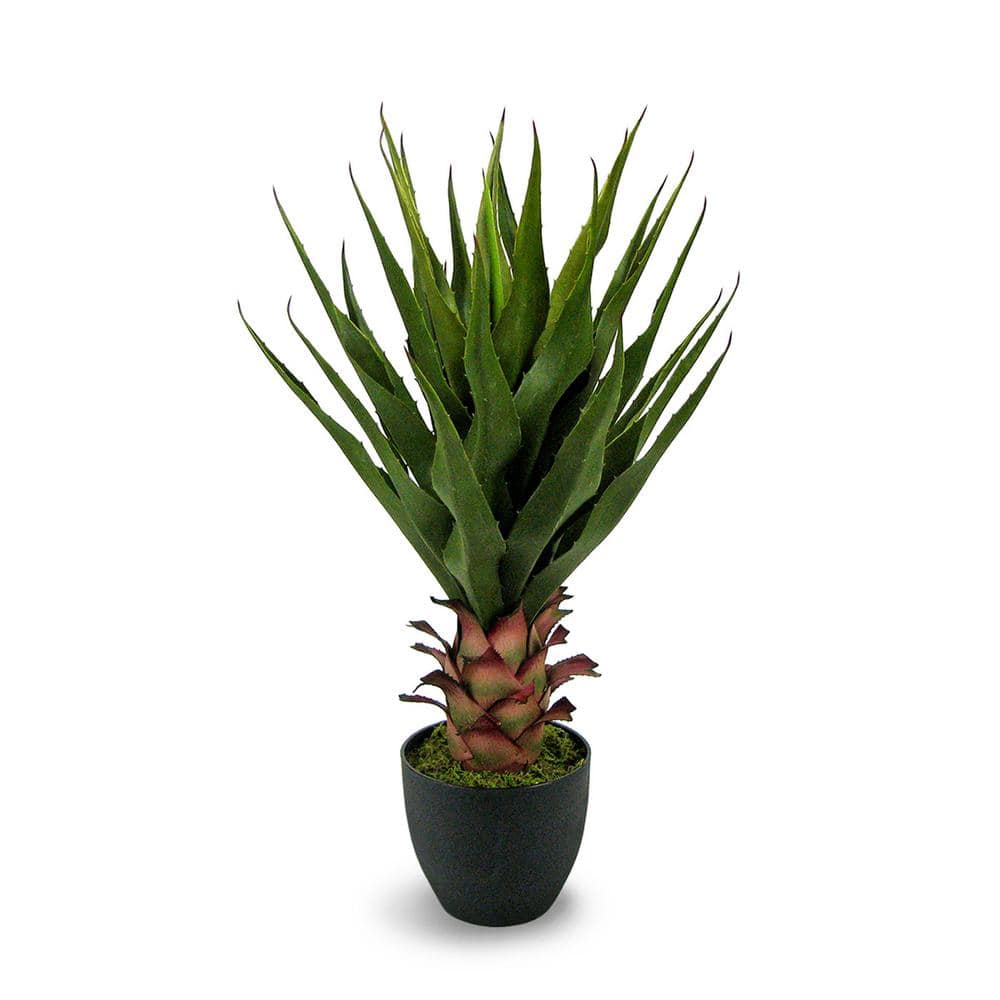 Botanical 2.3 ft. Artificial Agave in Pot