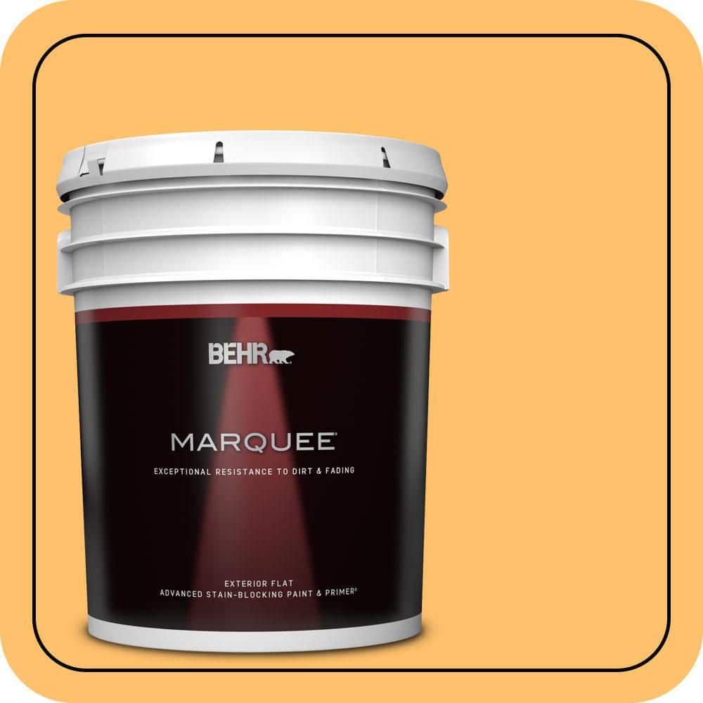 5 gal. #P250-5 Solar Storm Flat Exterior Paint & Primer product image for price tracking