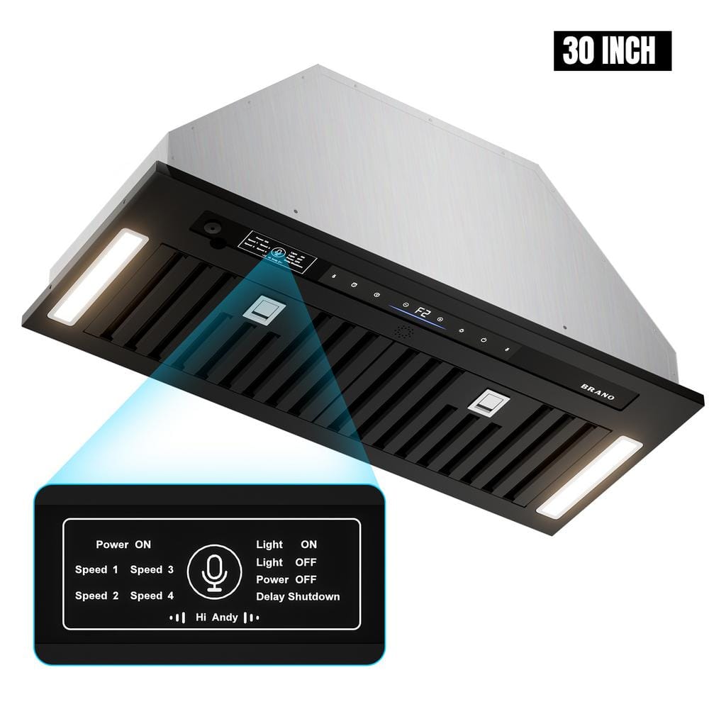 30 in. 900 CFM Convertible Insert Range Hood in Stainless Steel with Charcoal Filter and LED Lights