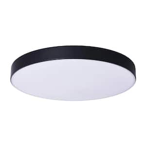Argo 19.68 in. 1-Light Black Simple Circle LED Flush Mount