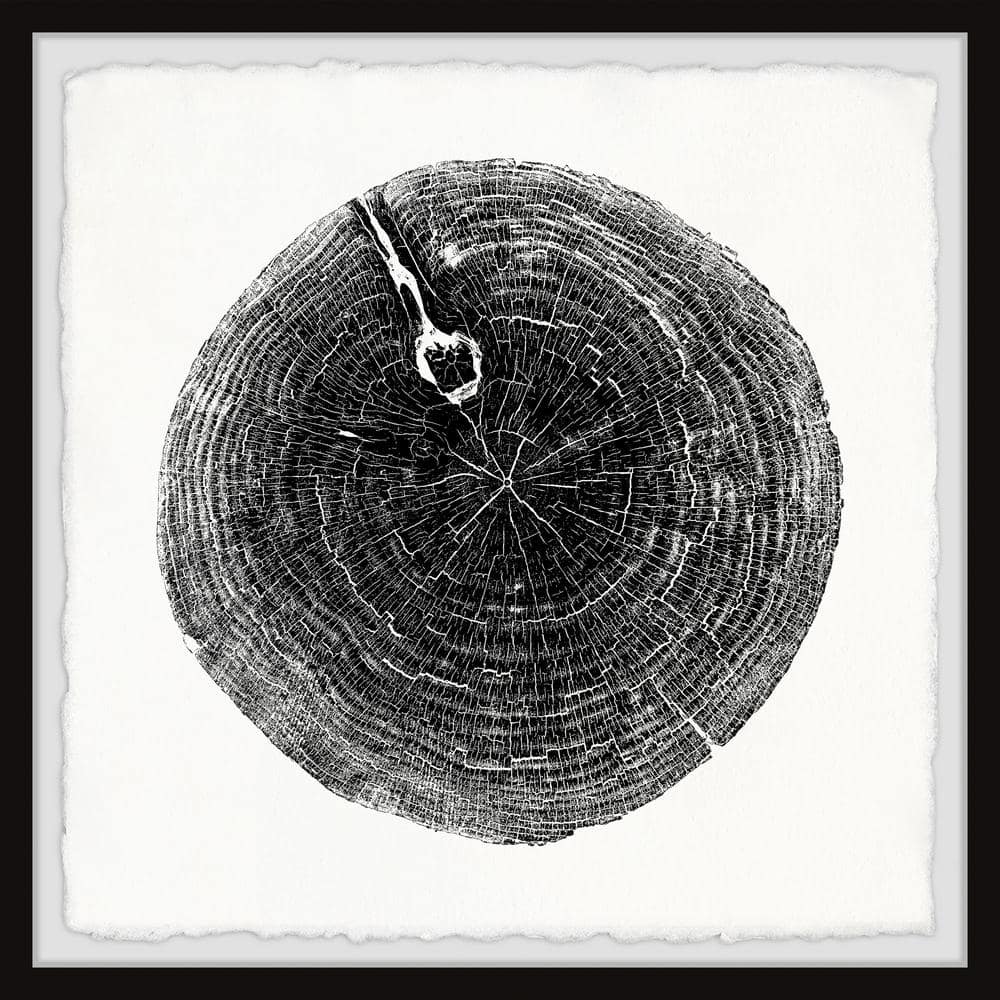 Mighty Trunk by Marmont Hill Framed Nature Art Print 12 in. x 12 in.