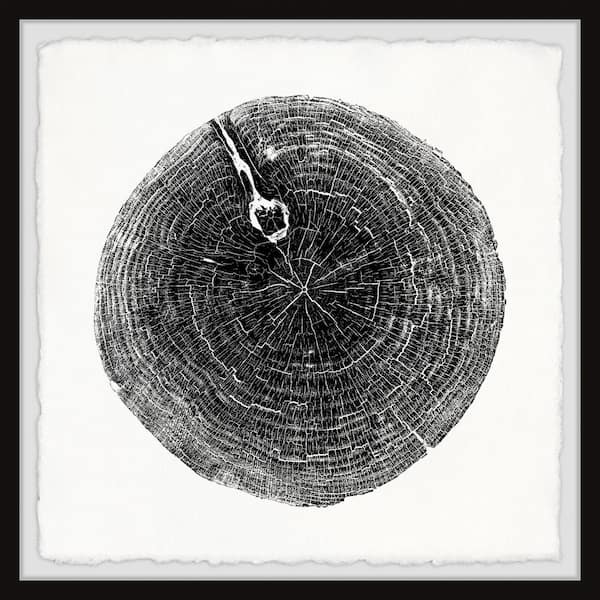 Unbranded "Mighty Trunk" by Marmont Hill Framed Nature Art Print 18 in. x 18 in.