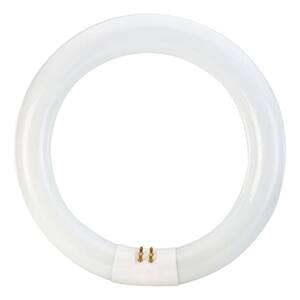 Philips 391227 Circline Fluorescent 32-Watt 12-Inch T9 Bright