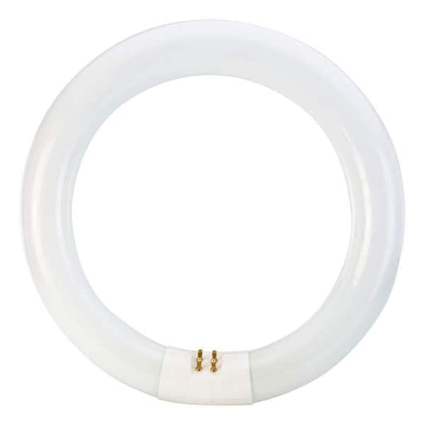 22-Watt 8 in. Linear T9 Circline Fluorescent Tube Light Bulb Bright White  (3000K) (1-Pack)
