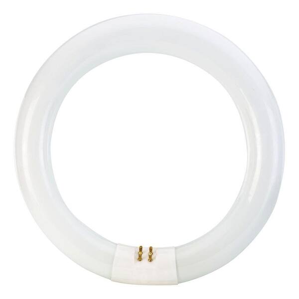 RaLeigh  ＲＦーＬ Four Hands Rinca Table Lamp 229307-003 - Portland, OR | Key