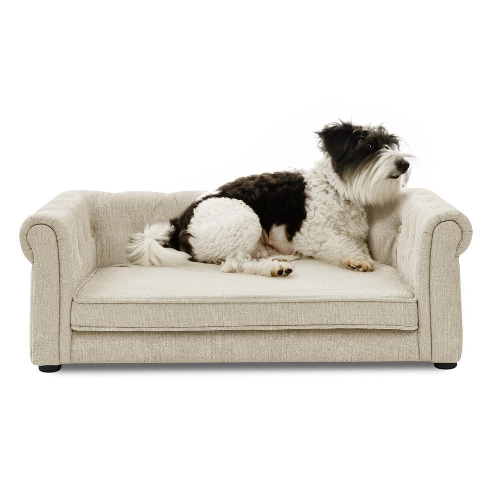 23.2 in. D x 38.9 in. W Elegant Rectangle Pet Bed Elevated Dog Sofa Bed Dog Couch for Small and Medium Dogs, Beige price history on PriceWatchPro