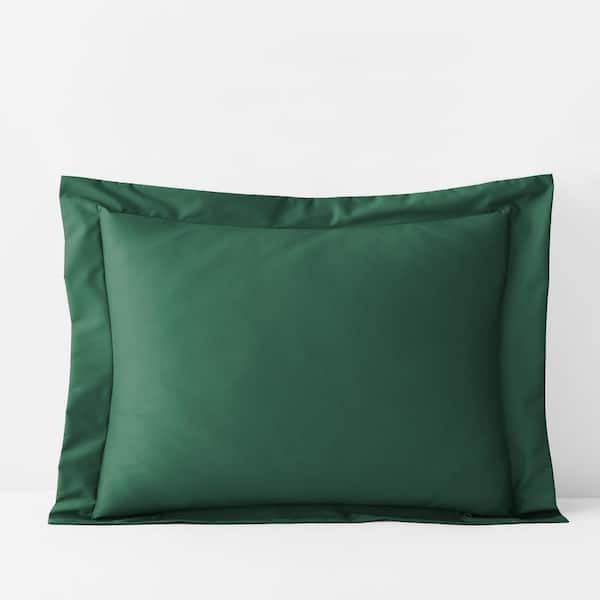 The Company Store Company Cotton Evergreen Solid 300 Thread Count Wrinkle-Free Sateen Standard Sham