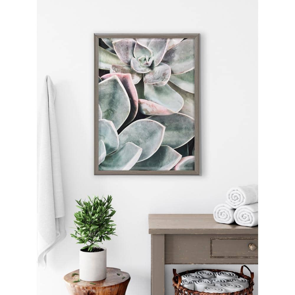 Blake Botanical Succulent Plants Framed Glass Wall Art, 18" x 24"