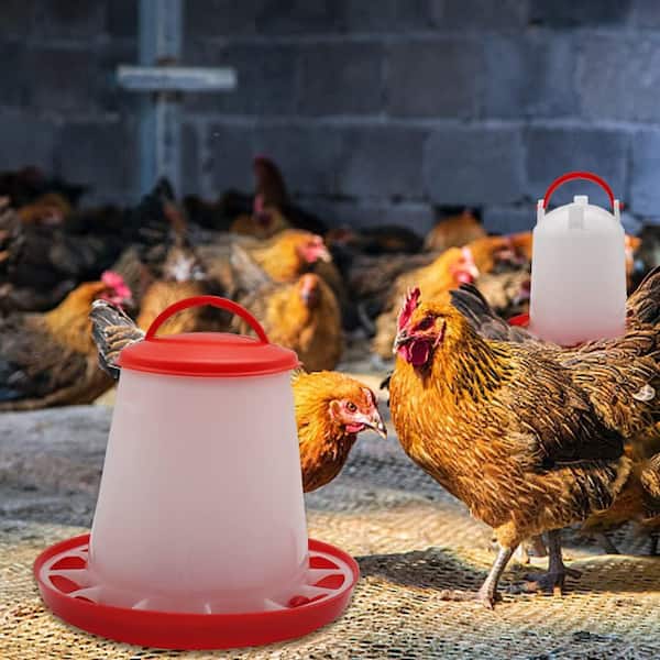 8-Quart Digital Air Fryer