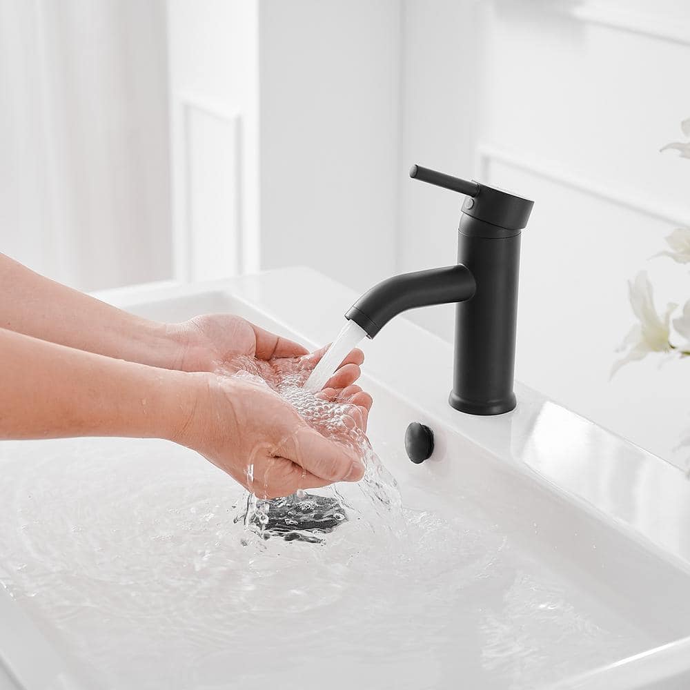 Matte Black Stainless Steel Single-Handle Bathroom Faucet