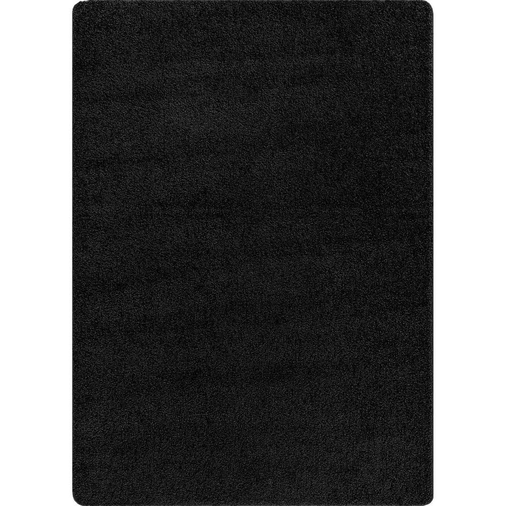 5 ft. x 7 ft. Black Silky Solid Plus Thick Pile Non Slip Easy Clean Non Shedding Modern Indoor Area Rug price history on PriceWatchPro