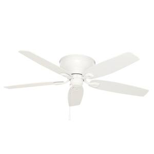 Durant 54 in. Indoor Snow White Ceiling Fan