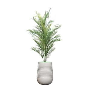 60 in. glow in the dark artificial palm tree in sustainable planter