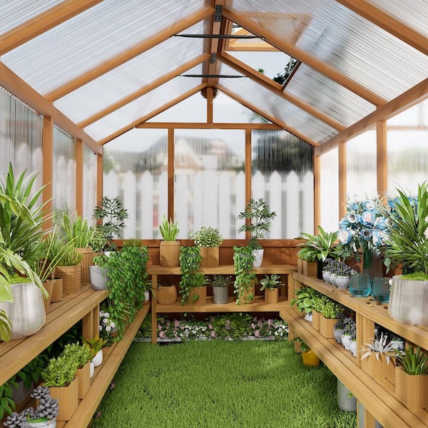 PABIMIA 6 ft. x 12 ft. Wood Greenhouse for Outdoors, Polycarbonate