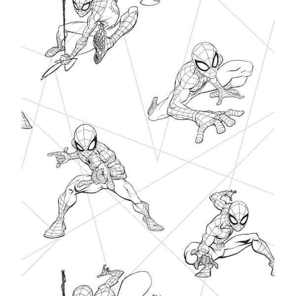 Drawings To Paint & Colour Spiderman - Print Design 042