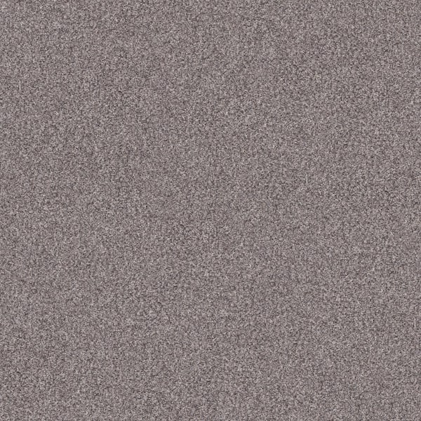 Home Decorators Collection Cherry On Top I Tumbleweed Gray 42 oz. Solution Dyed Polyester Texture Installed Carpet