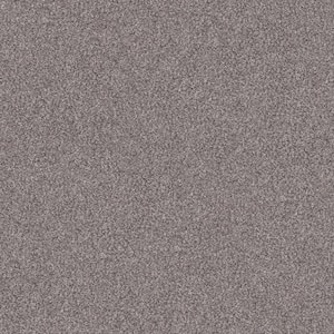 Cherry On Top I Tumbleweed Gray 15 ft. Wide 42 oz. Solution Dyed Polyester Texture Installed Carpet