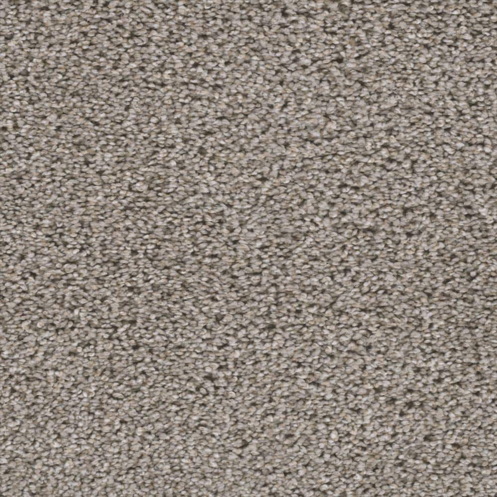 8 in. x 8 in. Texture Carpet Sample - Fall Skies I -Color Autumn Cheer price history on PriceWatchPro