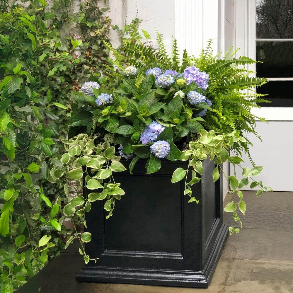 Fairfield Square 20" Black Self-Watering Polyethylene Outdoor Planter