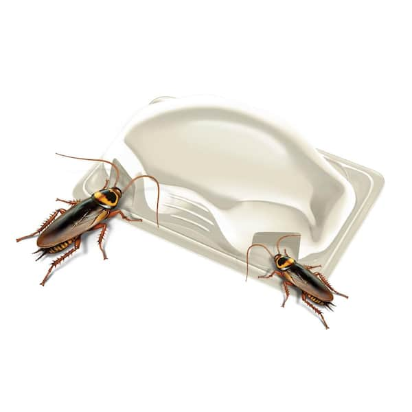 Roach Killer Large Pest Trapper Catcher Box Cockroach Traps