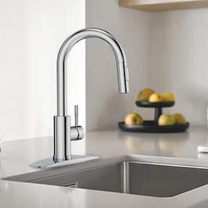 Single Handle Pull Down Sprayer Kitchen Faucet with Removable Deck Plate Swivel Spout in Chrome