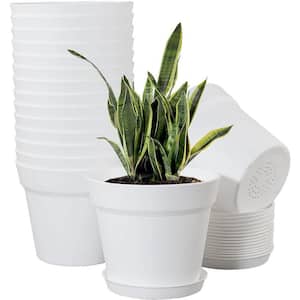 Modern 6 in. L x 6 in. W x 5 in. H White Plastic Round Indoor Planter 16 (-Pack)
