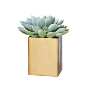 3.25 in. x 4.25 in. Small Square Metal Brass Planter with Split Smooth and Brushed Finish