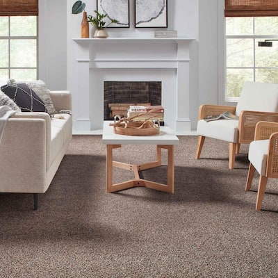 Playful Moments II - Color Pecan Bark Indoor Texture Brown Carpet