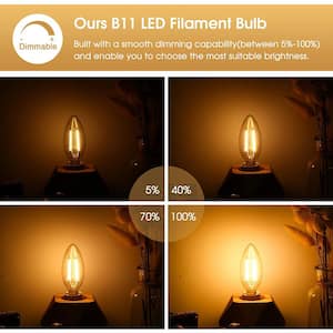 40-Watt Equivalent B11 Dimmable Vintage Edison Incandescent Light Bulb Soft White 2700K, 6-Pack