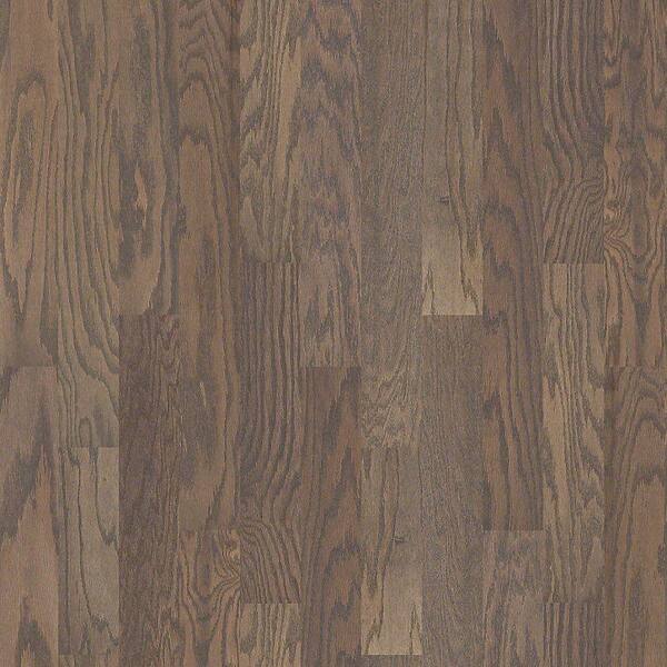 Shaw Take Home Sample - Woodale Oak Weathered Click Hardwood Flooring - 5 in. x 8 in.